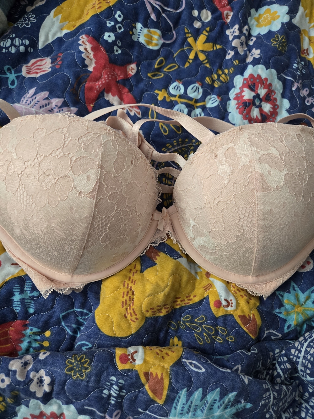 NWT Torrid Pink Lace Push-Up Plunge Bra